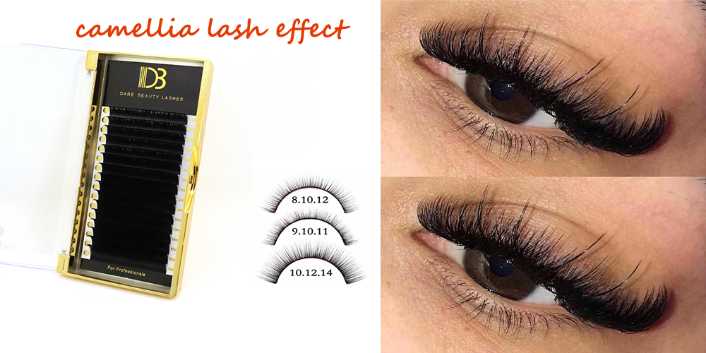 Camellia Lashes